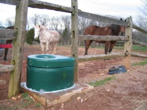 Electric vs. Non-Electric Horse Waterers What UK Owners Need to Know